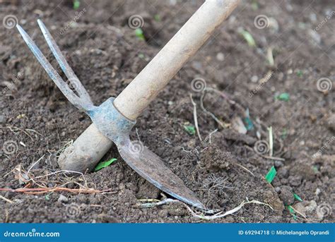 Hoe vegetable garden stock photo. Image of field, vegetable - 69294718