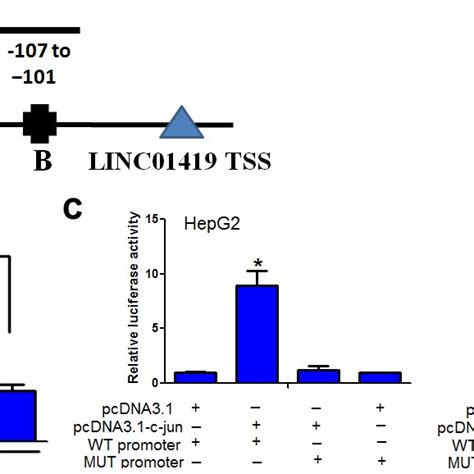 Reck Suppresses Hcc Cell Proliferation And Metastasis And Counteracts