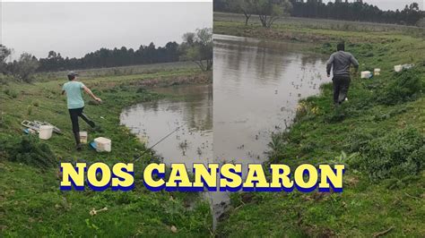 Estos Bagres Nos Cansaron En Pesca En Agua Dulce Youtube