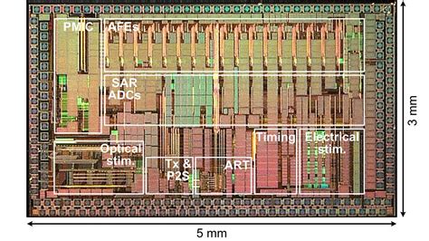 For Neural Research, Wireless Chip Shines Light on the Brain ...