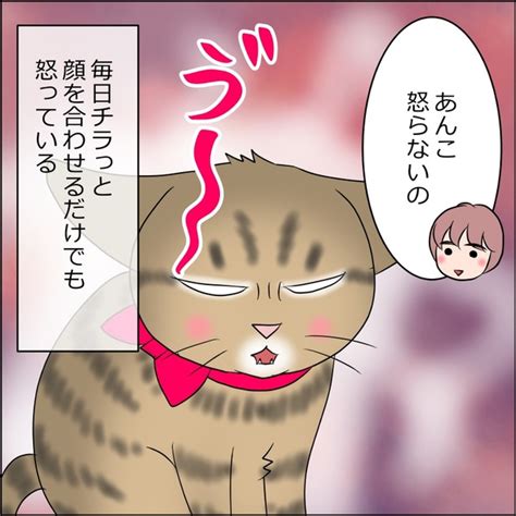 ＜画像27 102＞【ネコ漫画】夢にまでみた「猫との生活」を手にいれた！生きててよかった猫との日常をリアルに描いたネコ漫画に共感の嵐