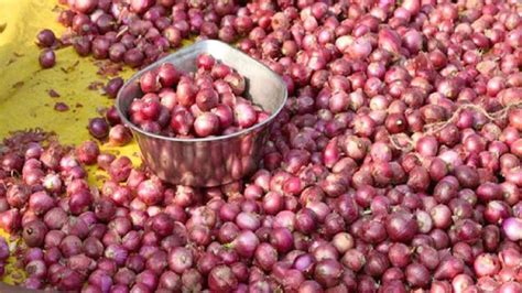 Onions Export Allowed Lying On Ports Including Bangladesh Government