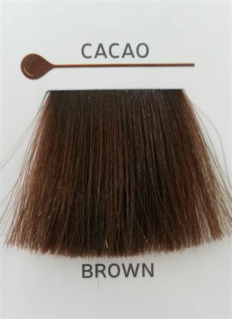 Alter Ego Passion Color Maska Koloryzująca Brązowa Brown Cacao 250ml