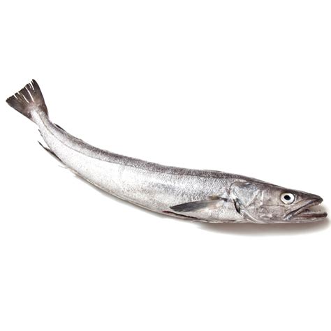 Buy Freshly Frozen Whole Silver Hake Fish 1 Unit London Grocery