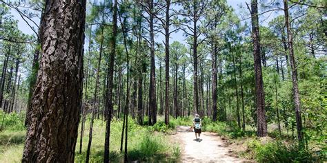 Deep Creek Trail: How to See 3 Awesome Waterfalls in 1 Hike