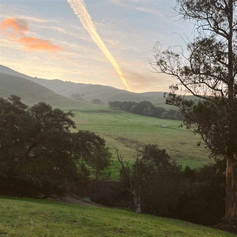 Hike Mission Peak Trail The Ultimate Guide From A Local Carrie