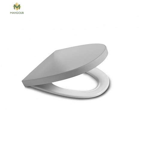 Soft Close Toilet Seat Roca Kromah Silver 801652F1T Mahgoub For