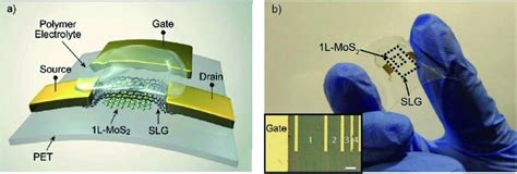 A Schematic Illustration Of Mos 2 Phototransistor With A Graphene Download Scientific Diagram