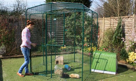 Outdoor Guinea Pig Run | Large Outdoor Guinea Pig Enclosure