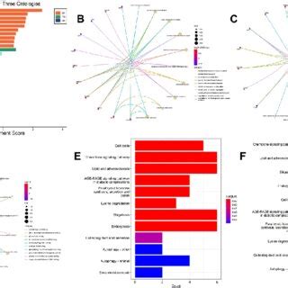 Functional Characteristics Analysis For The AD Related DEGs A GO