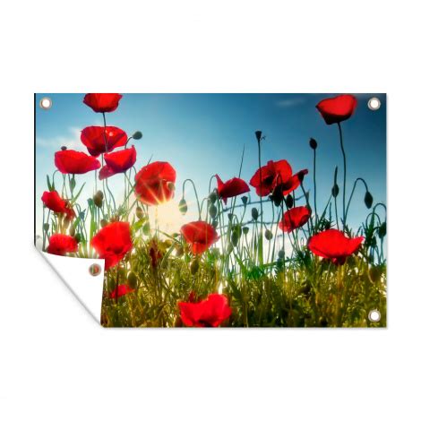 Outdoor Poster Mohnblumen Toskana Sonne Rot Blau Horizontal