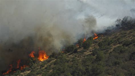 Balance De Onemi 19 Incendios Forestales Relevantes Activos En El