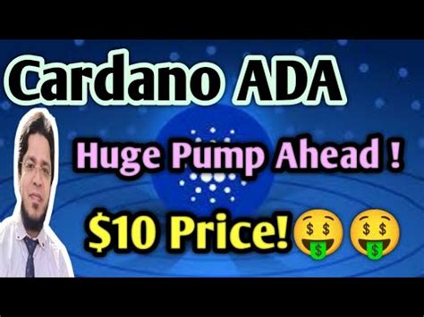 Cardano Ada Coin Huge Pump Ahead I Of Ada Is Staked I Ada Price