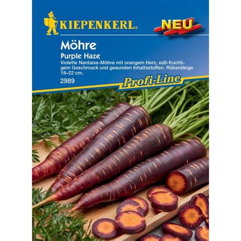 Kiepenkerl Möhre Purple Haze 1 Packung Bloomling Schweiz