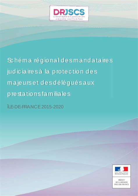 PDF Schéma régional des mandataires judiciaires à la protection des