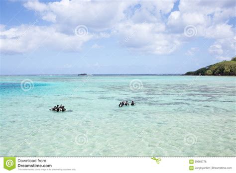 Learning to scuba diving editorial photo. Image of idyllic - 69569776