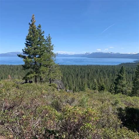 10 Best Trails and Hikes in Tahoe City | AllTrails