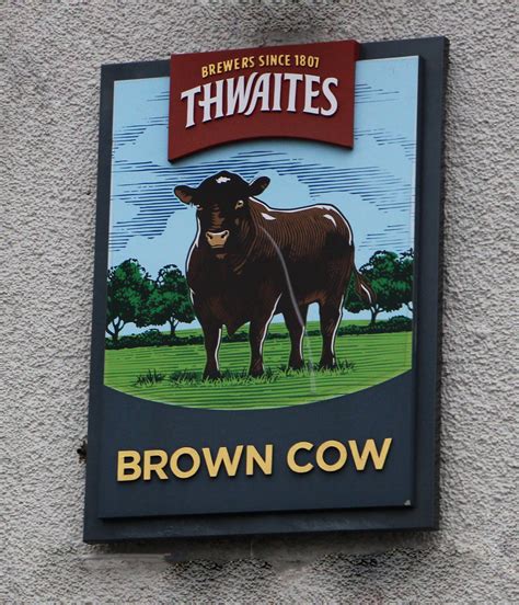 English Pub Sign Brown Cow Eccleston Lancashire Flickr