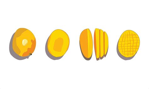 mango shape vector art icons  graphics