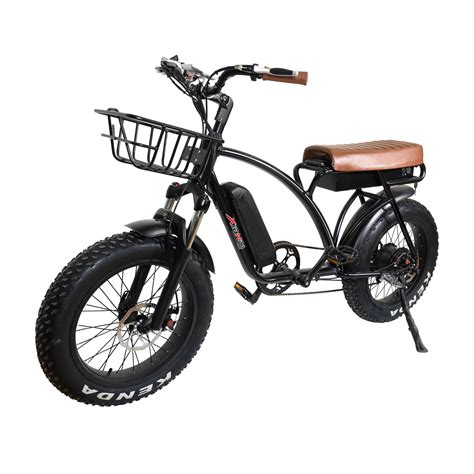 Al Alloy Frame Snow Beach Cruiser Retro Electric Bike 750W 1000W Fat