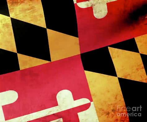 Maryland Flag Digital Art by Joe Barsin - Fine Art America