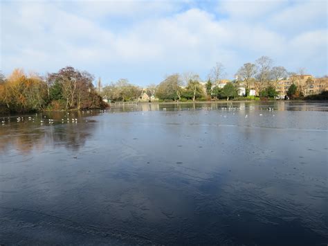 Leazes Park | Birdingplaces