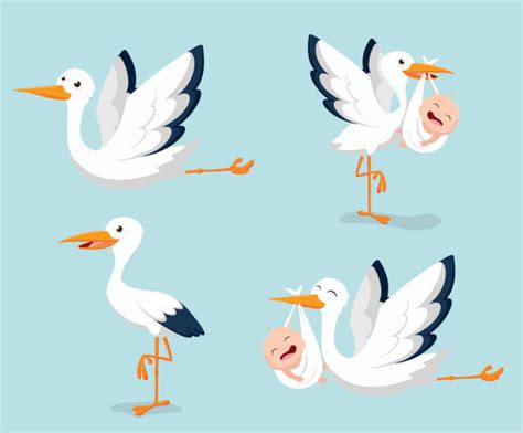 Stork Baby Myth Stock Photos, Pictures & Royalty-Free Images - iStock