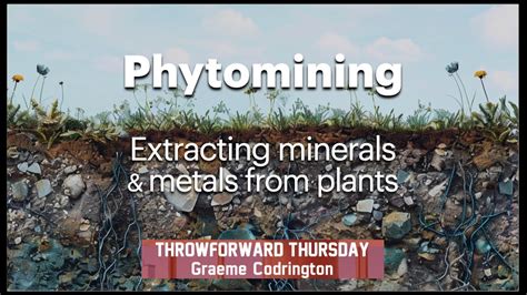 ThrowForward Thursday 145: Phytomining (extracting minerals and metals ...