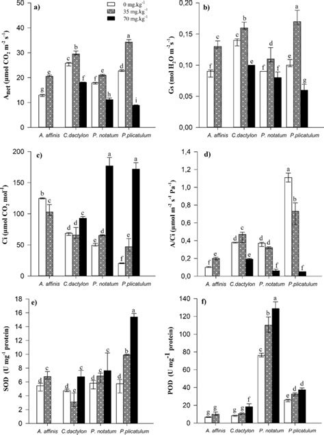 Net Photosynthetic Rate A Stomatal Conductance B Intercellular