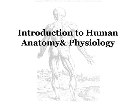 Introduction To Human Anatomy Physiology