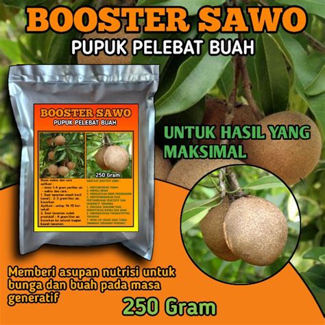 Jual Pupuk Booster Pelebat Buah Sawo Pupuk Perangsang Buah Nutrisi