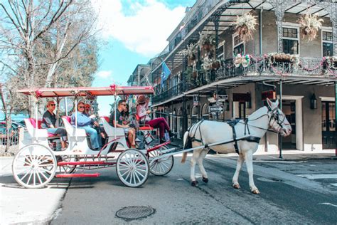 10 Things To Do On Your New Orleans Layover Snap Travel Magic