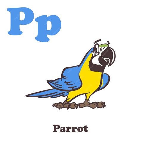 Como Se Escreve Papagaio - Personagem de desenho animado do alfabeto de papagaio para crianças ...