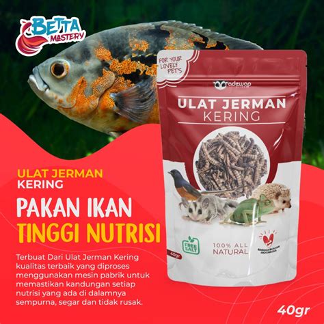 Jual Ulat German Jerman Kering Dried Super Mealworm Gram Pakan