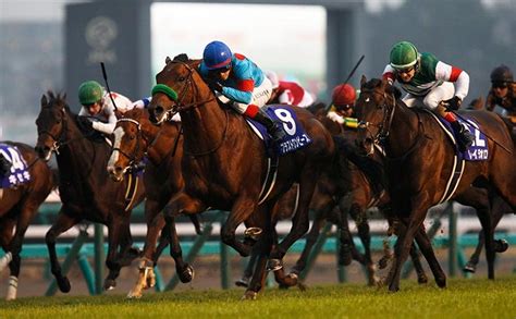 【有馬記念予想】今年騎乗予定騎手の中山芝2500m過去10年の成績競馬予想データ 競馬まとめ Netkeiba