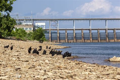 Pickwick Landing Hydroelectric Lock And Dam Stock Photo Image Of