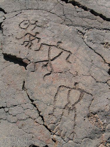 Hawaiian Petroglyphs Petroglyphs Hawaiian Art Petroglyphs Art