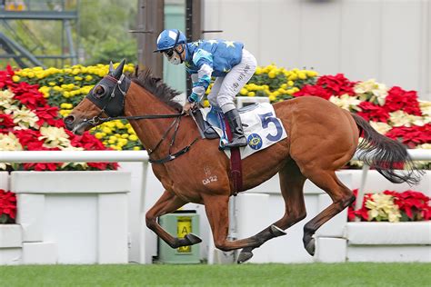 「錶之未來」踏上進軍香港經典一哩賽之旅 賽馬新聞 香港賽馬會