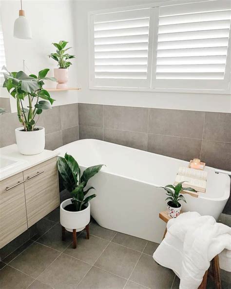 Modern Bathroom With Plant Décor - Soul & Lane