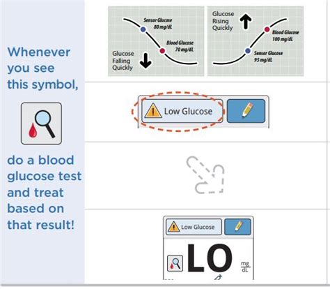 Abbott Freestyle Libre Cgm System User Guide