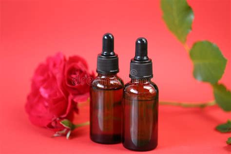 Rose Extract Serum Face Serum Natural Organic Botanical Serum Herbal