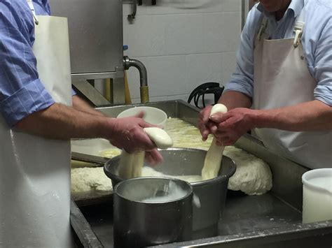 Scuole Dell Infanzia Aldo Moro Rutigliano Dal Latte Alla Mozzarella