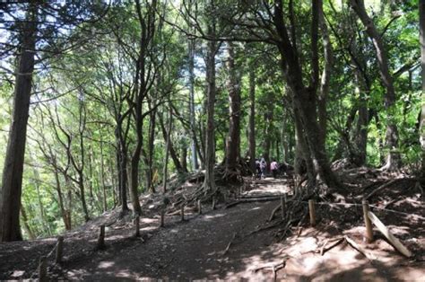 Mount Takao - Hiking Trails, Beautiful Nature, Wonderful Views ...