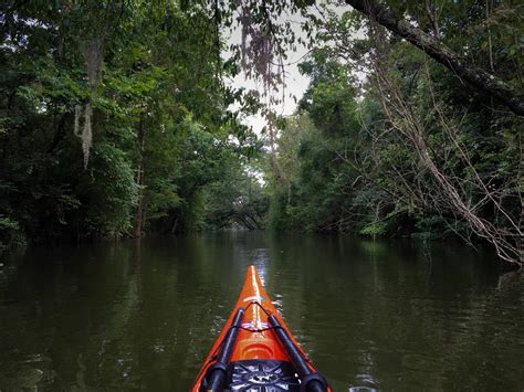 Near Bayou Trepagnier outside of New Orleans : Kayaking