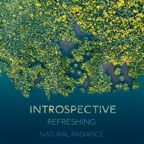 Zzz Introspective Refreshing Natural Radiance Zzz Album By Rest