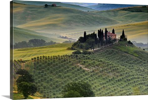 Italy Tuscany Siena District Orcia Valley Podere Belvedere Near San