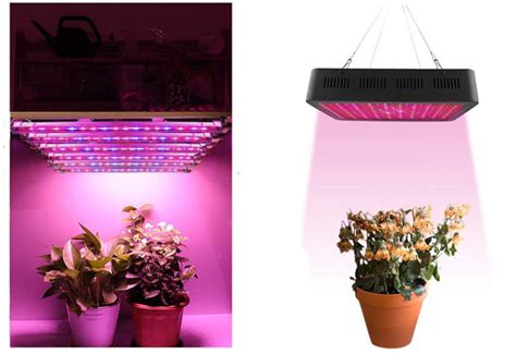 Comparatif Et Tests Des Meilleures Lampes Led Horticoles