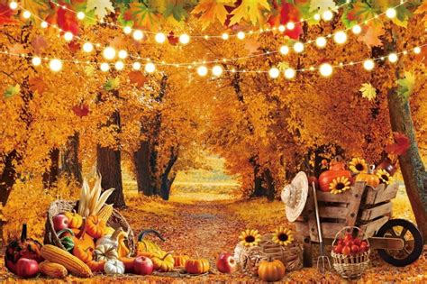 Autumn Maple Forest Backdrop Fall Farm Harvest Pumpkin Sunflower Decor