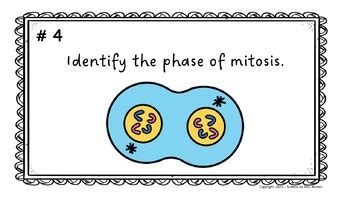 Cell Cycle Mitosis Meiosis Task Cards By Science By Mrs Brown