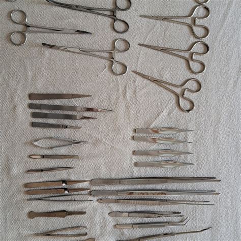 Antique Forceps Etsy